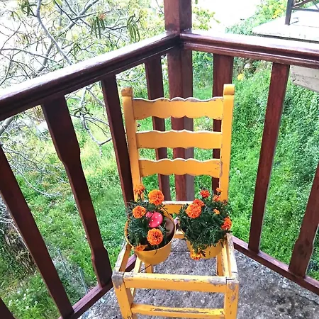 Cleopatrahouse Hébergement de vacances Stemnitsa